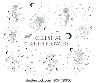 Celestial birth month flowers set. Vector isolated spiritual plants, moon and stars for gift cards and wedding invitations.