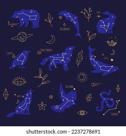 Celestial bodies signs and text. Group of stars forming a recognizable pattern, constellations with explanation. Planet and moon, floral decoration and leaves, comet and eye. Vector in flat style