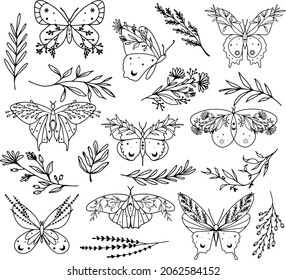 Celestial Bohemian boho butterfly decorative vector logo set. Moth wildlife alchemy icon symbol