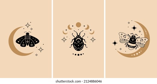 Celestial butterfly, bee and bug vector illustration set. Mystical moth with moon phases, magic composition. Black magic insect, esoteric symbol.