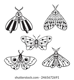 Celestial Butterfly Doodle Illustration. Hand Drawn Beautiful Line Art Butterfly Tattoo. This boho butterfly are good for design of mystical project, card and poster making, decoration clothes, etc