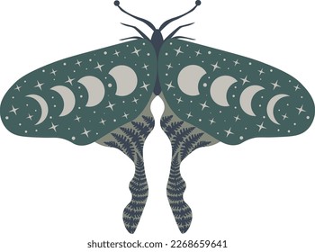 Celestial butterfly vector illustration. Mystical luna moth with moon phases. Magic floral insect on white background. Design for boho poster, card, madical t shirt print, tag, sticker.
