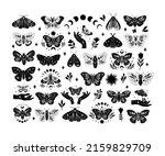 Celestial butterfly vector illustration set. Mystical boho moth with moon phases. Floral insect, wildflowers, stars clipart on white background. Design for poster, card, t shirt print, sticker.