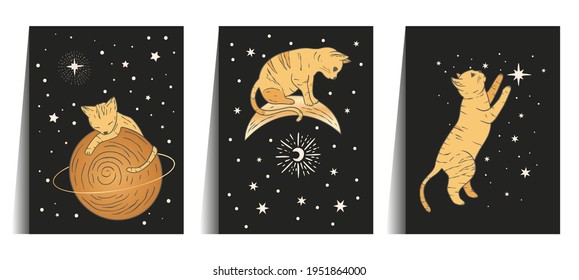 Celestial cat animal sacred astrology card set. Boho esoteric golden art. Gold, and black banner with moon and star.