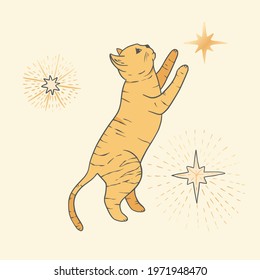 Celestial cat sacred astrology boho esoteric gold card. Nursery animal art.