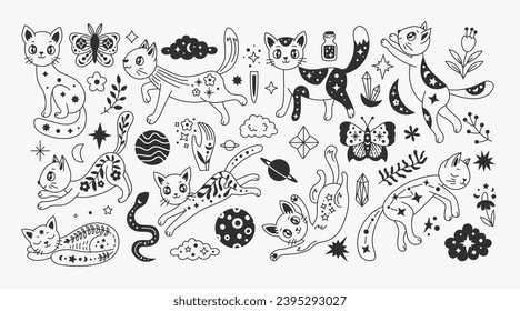 Celestial cats set in doodle style. Kawaii anime kittens in cartoon style. Esoteric vector illustration. Black line art mystical animals collection with stars and flowers. Magical pets.