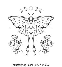 Celestial line art grainy geometric luna moth, moon phases and flowers. Abstract mystic geometry butterfly with floral arrangement. Vector illustration. Design for tattoo, book cover, t-shirt print