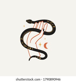 Celestial logo, emblem, tatoo, print design. Hand holds black snake or serpent with mysterious ornament on its back and celestial bodies. Concept of mystery, magic, spirituality, witchcraft. 