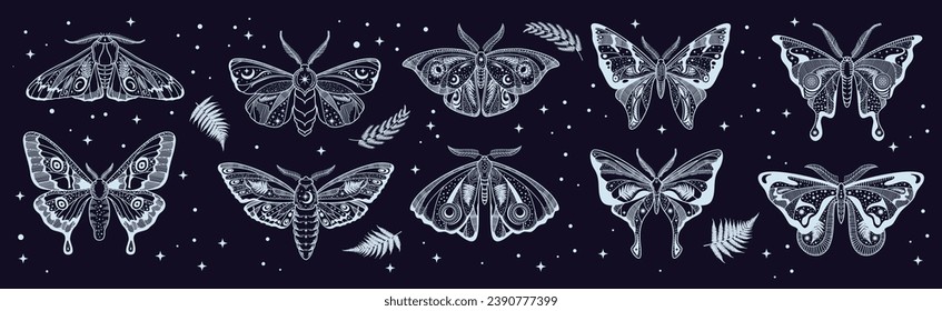 Celestial magic mystic moth. Butterfly silhouette esoteric tattoo or icon. Mystical butterfly, magic night insect or fantasy lunar moth engraving vector print or background with fern leaves and stars