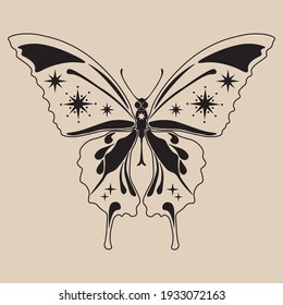 Celestial moth line art illustration. Beautiful moth illustration. Vector celestial.