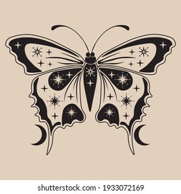 Celestial moth line art illustration. Beautiful moth illustration. Vector celestial.