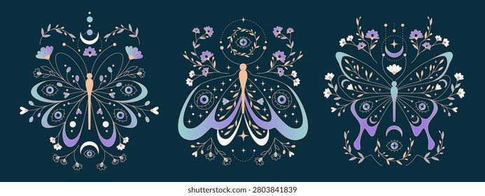 Polilla celeste con fases