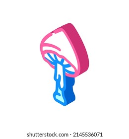 celestial mushroom isometric icon vector. celestial mushroom sign. isolated symbol illustration