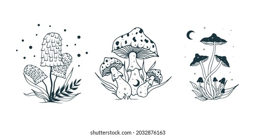 Celestial mushrooms. Psychedelic fungi, fungus set with moon and stars.