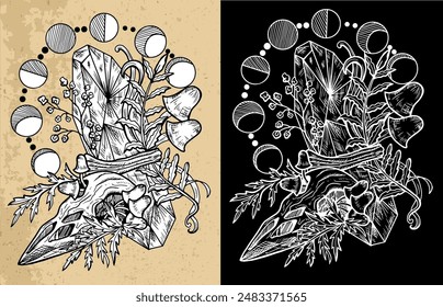 Celestial mystic mushrooms with magic and floral decorative design elements, skull, moon phases, witchcraft symbols. Esoteric and witchy objects, tattoo concept, hand drawn clipart 