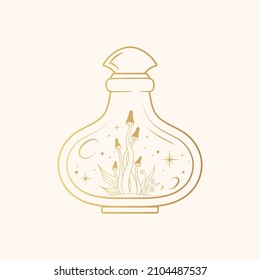 Celestial mystical jar with mushrooms and stars. Golden esoteric  design elements   isolated on white. Vector illustration in boho style.