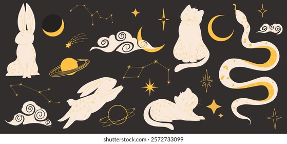 Celestial mystical magic elements. Hand drawn moon, stars, planets, constellations. Spiritual animals rabbits, cats, snake. Esoteric vector illustrations set. Flat design. Print, stickers, web