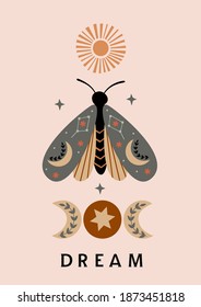 celestial poster with moth,sun, moon phases