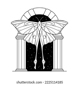 Celestial print with line arch and luna moth. Secret garden. Mystic insect print for t-shirt, notebook cover, card, brand packaging. Vector monochrome butterfly illustration