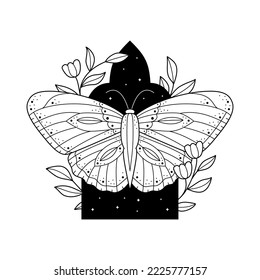 Celestial print with line arch, moth and florals. Mystic insect print with flowers and leaves for t-shirt, notebook cover, card, brand packaging. Vector monochrome butterfly illustration