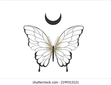 mariposa dibujada a mano en vectores celestiales