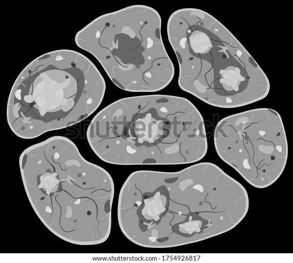 Cell\
biology microscopic elements, cluster group, isolated, over black,\
vector cartoon grey illustration\
horizontal\
