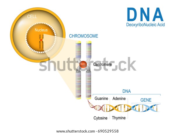 shutterstock