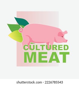 cell cultured pork meat artificial lab grown meat production concept