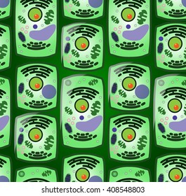Cell division background
