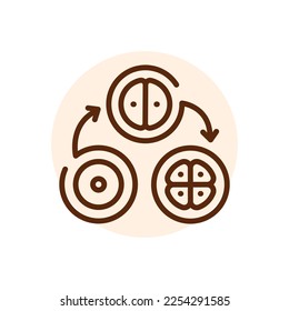 Icono de línea negra de división de celda. Fertilización. Pictograma para página web