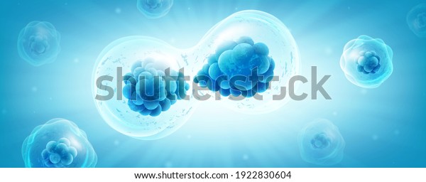 Cell division or cell connection, the\
microbiological process of reproduction of the simplest\
microorganisms microbes, bacteria, protein. Vector realistic\
illustration of a cell under a\
microscope