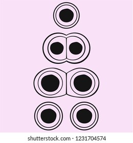 cell division, cycle, vector silhouette isolated