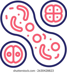 Cell Division Icon Color Vector Illustration