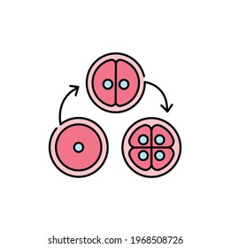 Cell division сolor line icon. Pregnancy. Pictogram for web page, mobile app, promo. UI UX GUI design element. Editable stroke.