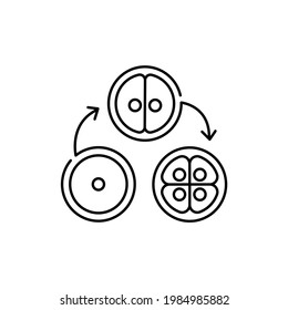 Cell division сolor line icon. Pregnancy. Pictogram for web page, mobile app, promo. UI UX GUI design element. Editable stroke.