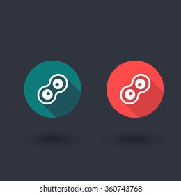 Cell division process, flat round icon, vector illustration