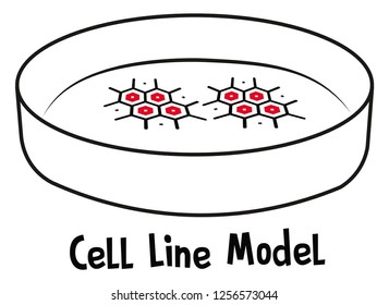 Cell line models stem cell culture engineering NSC Models of Alzheimer Disease