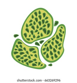 cell particle structure medical microbe icon