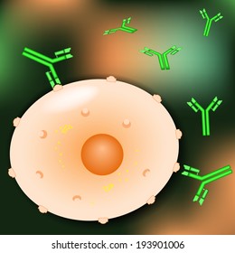 Cell with receptors and Antibodies. Human Immune System. medical background