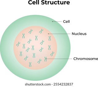 Cell Structure Design Vector Illustration