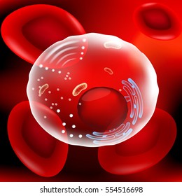 Cell under microscope. Human anatomy. red blood cells and other human cell on red background. vector. Illustration easy editable for Your color