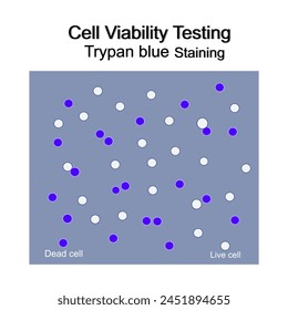 El ensayo de viabilidad celular con la técnica de tinción azul de Trypan que representa la tinción de células muertas y vivas o viables.