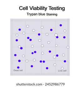 La prueba de viabilidad celular con la técnica de tinción azul de Trypan que muestra la tinción de células muertas y vivas o viables en la rejilla del hemocitómetro.