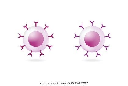 Células del sistema inmune adaptativo. T y B. linfocito T y linfocito B. Ilustración vectorial.