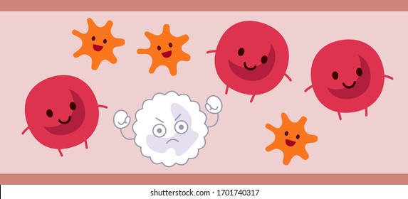 Cells in the blood. Red blood cells, white blood cells, platelets