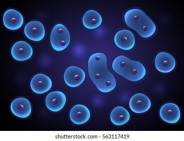 Cells Culture Background In Blue With Cell Division And Nucleus. Luminescence Membrane Effect. Bacteria, Virus. Eps10 Vector. Microbiological 3d Scientific Illustration.