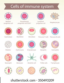 Cells of immune system. Medical benefit, the study of immunology. Vector design elements.