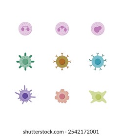 Células del sistema inmunológico innato y adaptativo, esquema de tipo de célula de hematopoyesis, células madre, linfocitos B y T, basófilos, neutrófilos, eosinófilos, monocitos, células dendríticas, macrófagos y células plasmáticas.