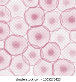 Cells isolated on transparent background. Realistic vector reproduction stem conception template. Pink egg human microscopic nucleus cell medicine patern