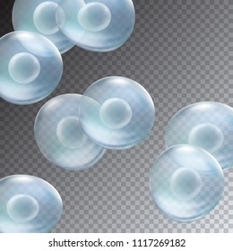 Cells isolated on transparent background. Realistic vector reproduction stem conception template. Blue egg human microscopic nucleus cell medicine patern.